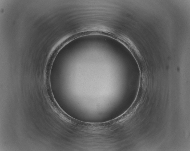 X0000082980780200702011422