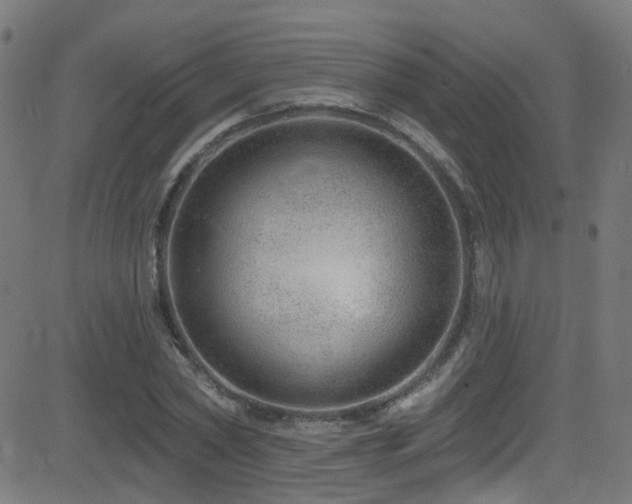 X0000082980782200702011422
