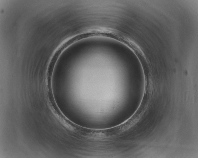 X0000082980784200702011422