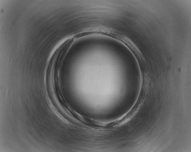 X0000082980788200702011422