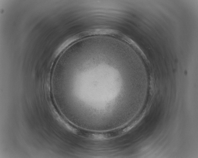 X0000082980794200702011422