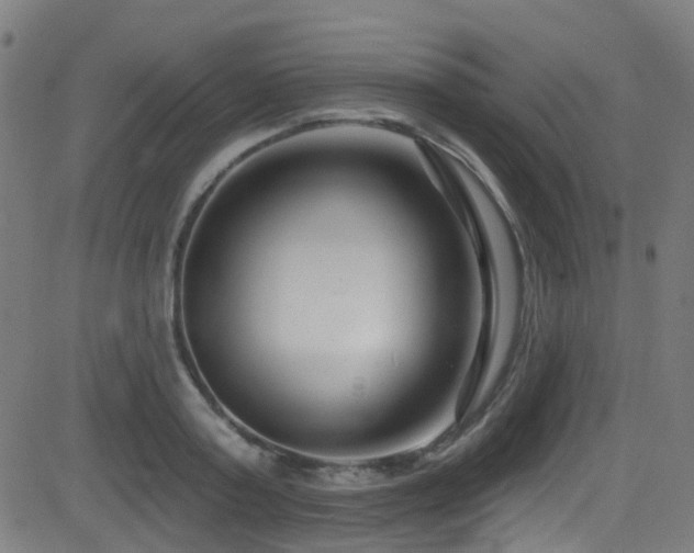 X0000082980795200702011422