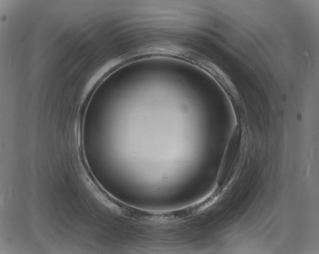 X0000082980796200702011422