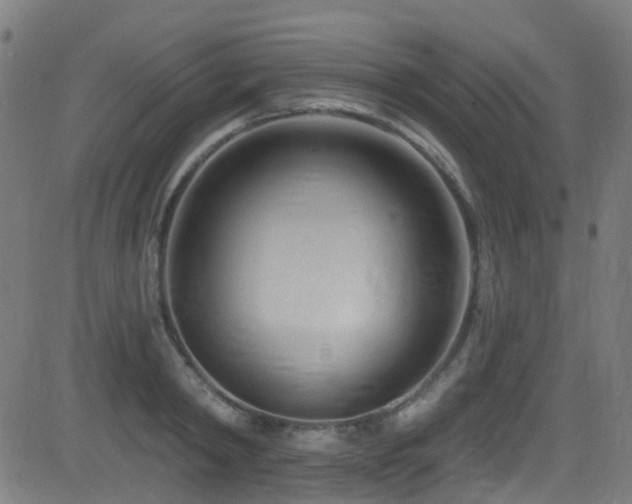 X0000082980798200702011422