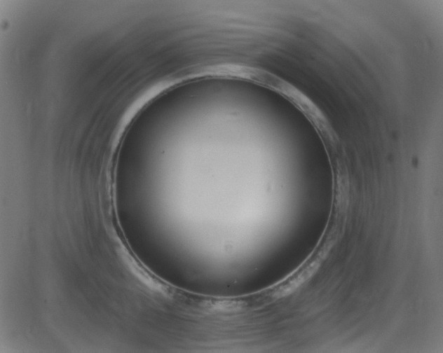 X0000082980808200702011422