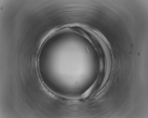 X0000082980813200702011422