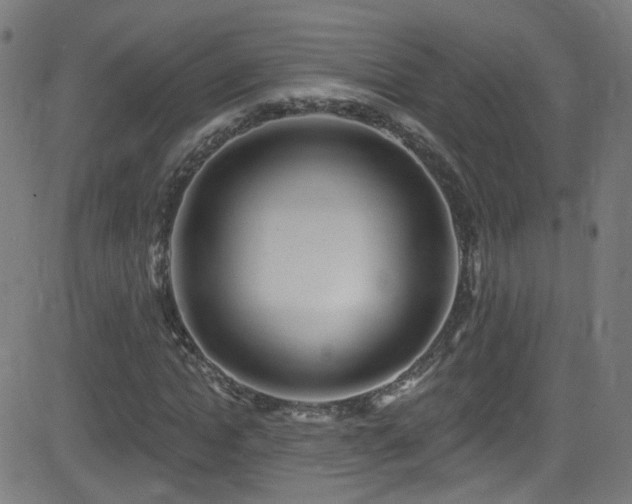 X0000082980822200702011421