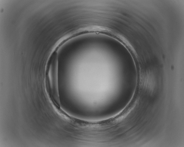 X0000082980845200702011421
