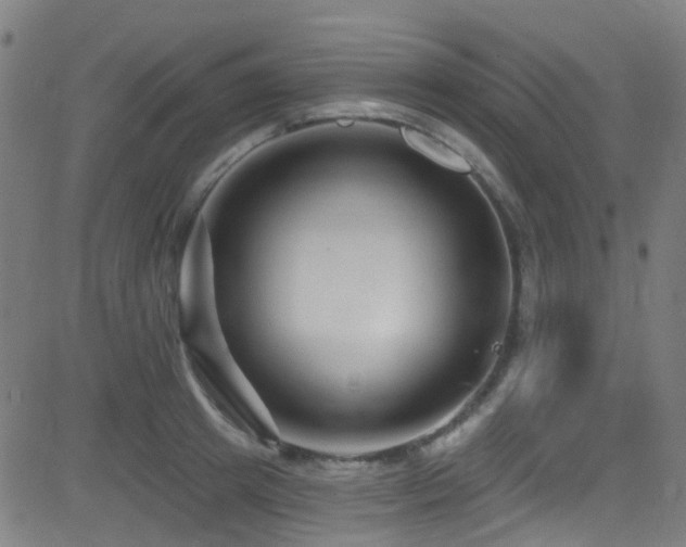 X0000082980849200702011421