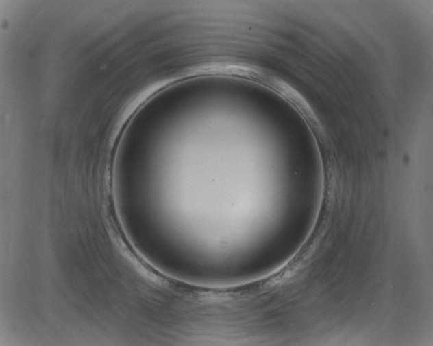 X0000082980852200702011421