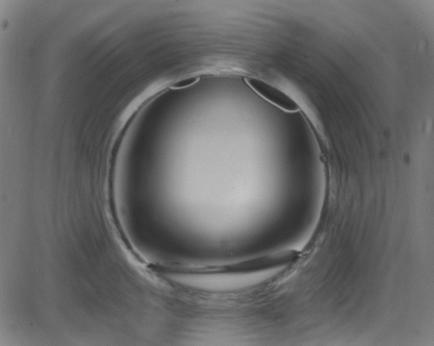 X0000082980861200702011421