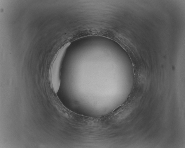 X0000082980865200702011421