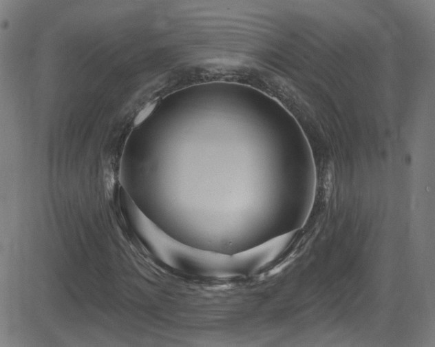 X0000082980868200702011421