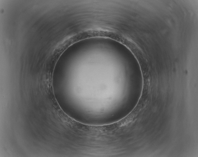 X0000082980870200702011421