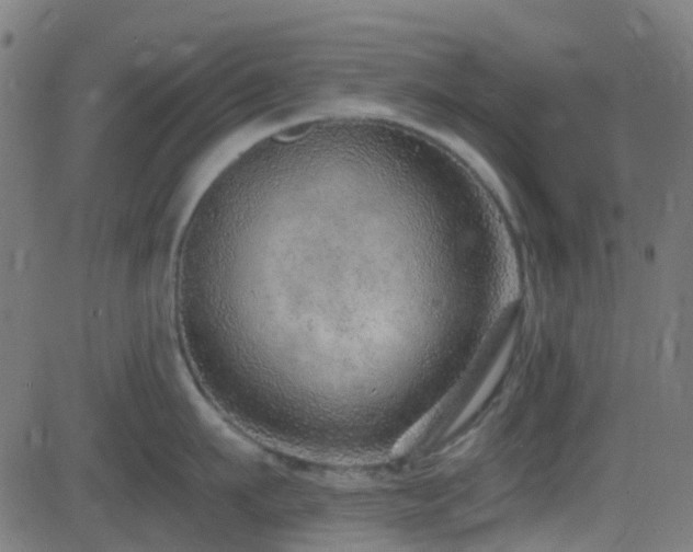 X0000082980911200702011420