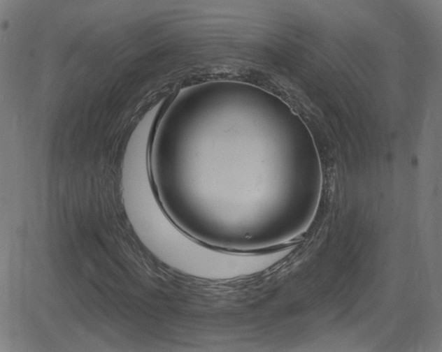 X0000082980916200702011419