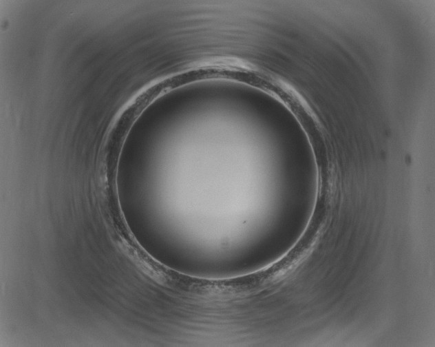 X0000082980923200702011419