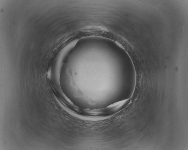 X0000082980965200702011419