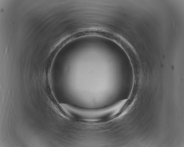 X0000082980969200702011419