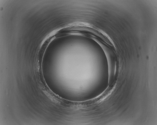 X0000082980973200702011419