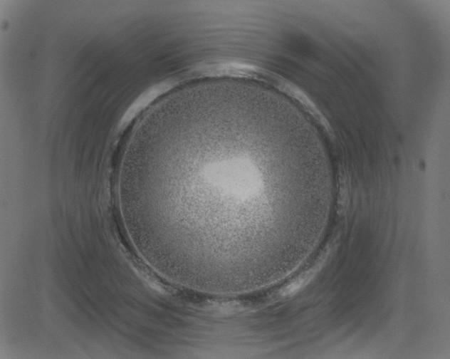 X0000082980978200702011419