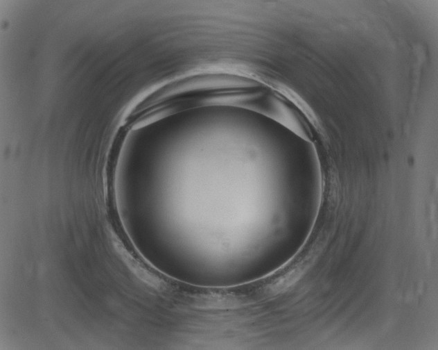 X0000082980980200702011419