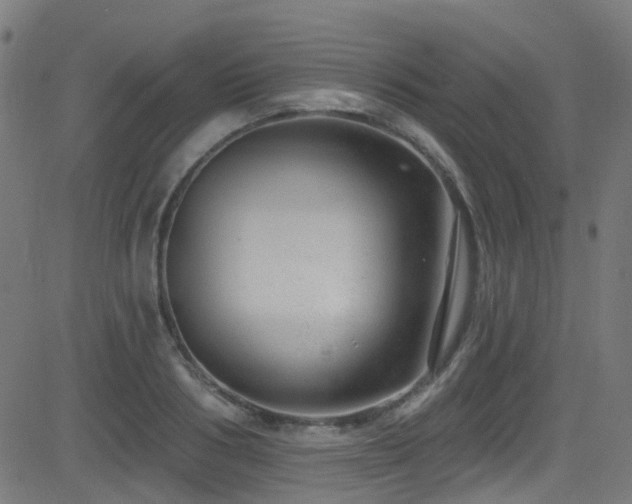 X0000082980986200702011419