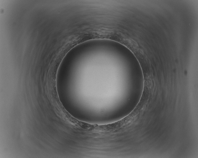 X0000082981009200702011418