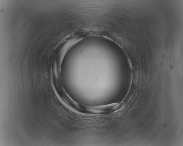 X0000082981010200702011418
