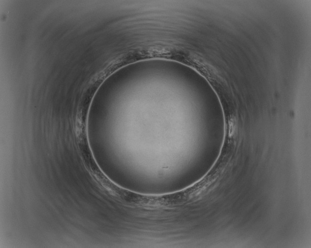 X0000082981011200702011418