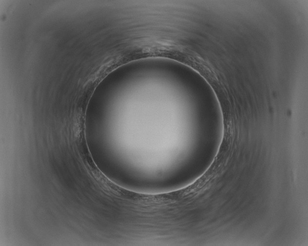 X0000082981012200702011418