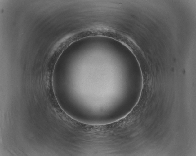 X0000082981016200702011418