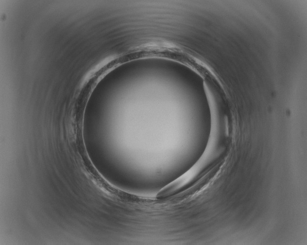 X0000082981018200702011418
