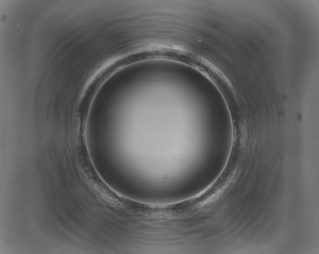 X0000082981021200702011418