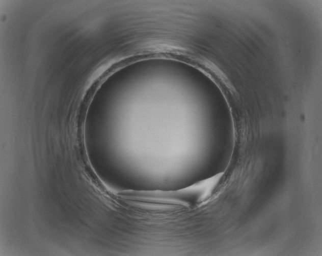 X0000082981023200702011418
