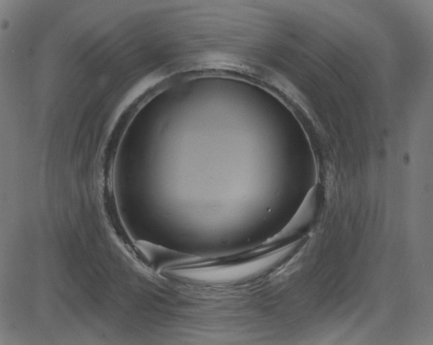 X0000082981024200702011418