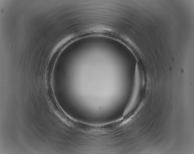 X0000082981026200702011418