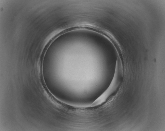 X0000082981032200702011418
