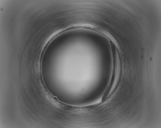 X0000082981044200702011418