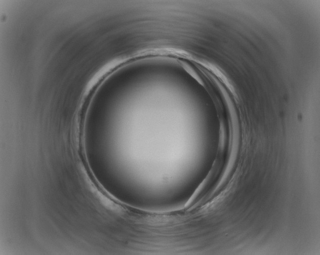 X0000082981046200702011418