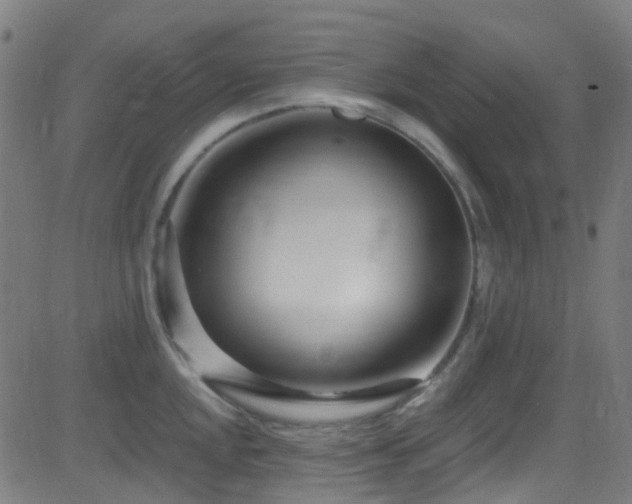 X0000082981048200702011418