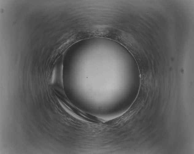 X0000082981058200702011418