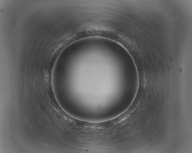 X0000082981061200702011417