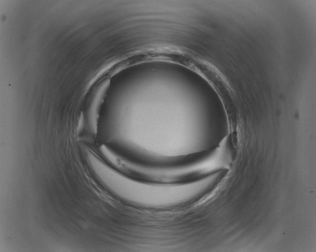 X0000082981065200702011417