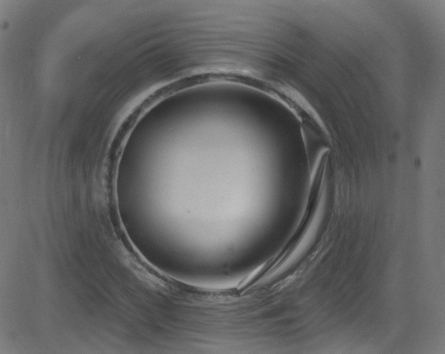 X0000082981068200702011417