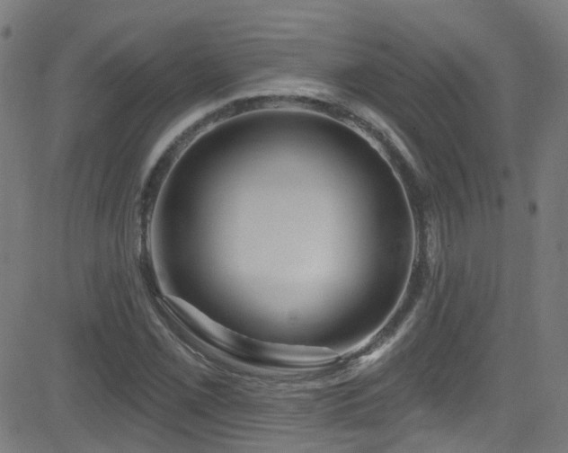 X0000082981069200702011417