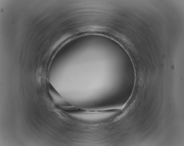 X0000082981073200702011417