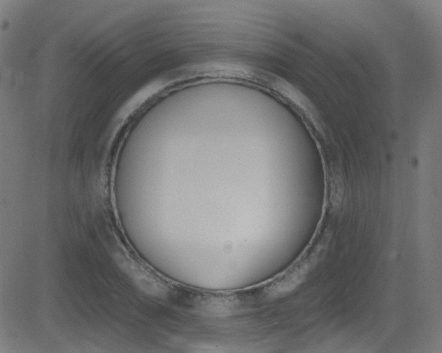 X0000082981074200702011417