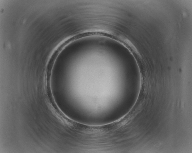 X0000082981076200702011417