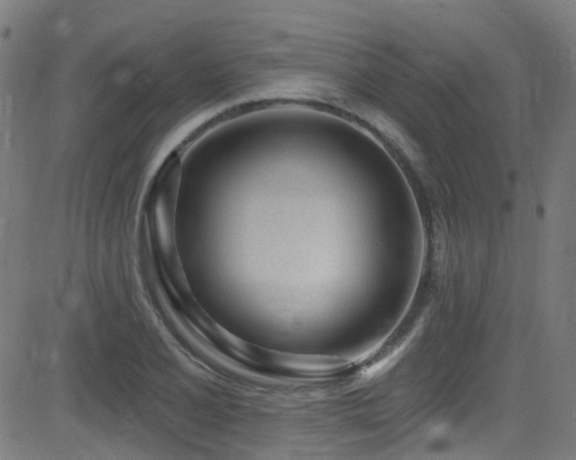 X0000082981077200702011417